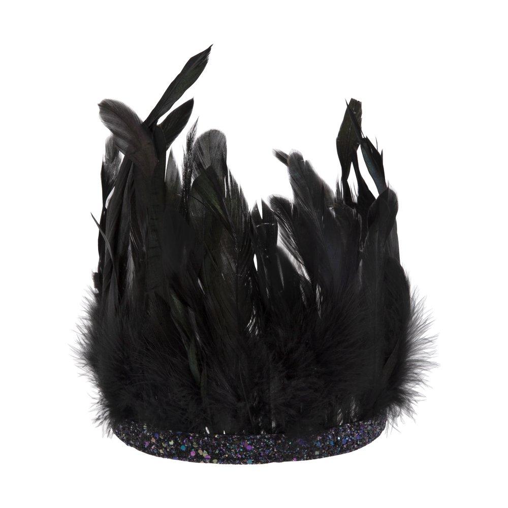Black Feather Crown
