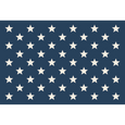 Stars on Navy Placemats