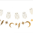 Spellbound Owl Banner Set